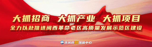 回顾本次参, hr, solid